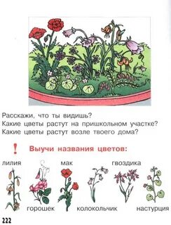 Почему не растут цветы