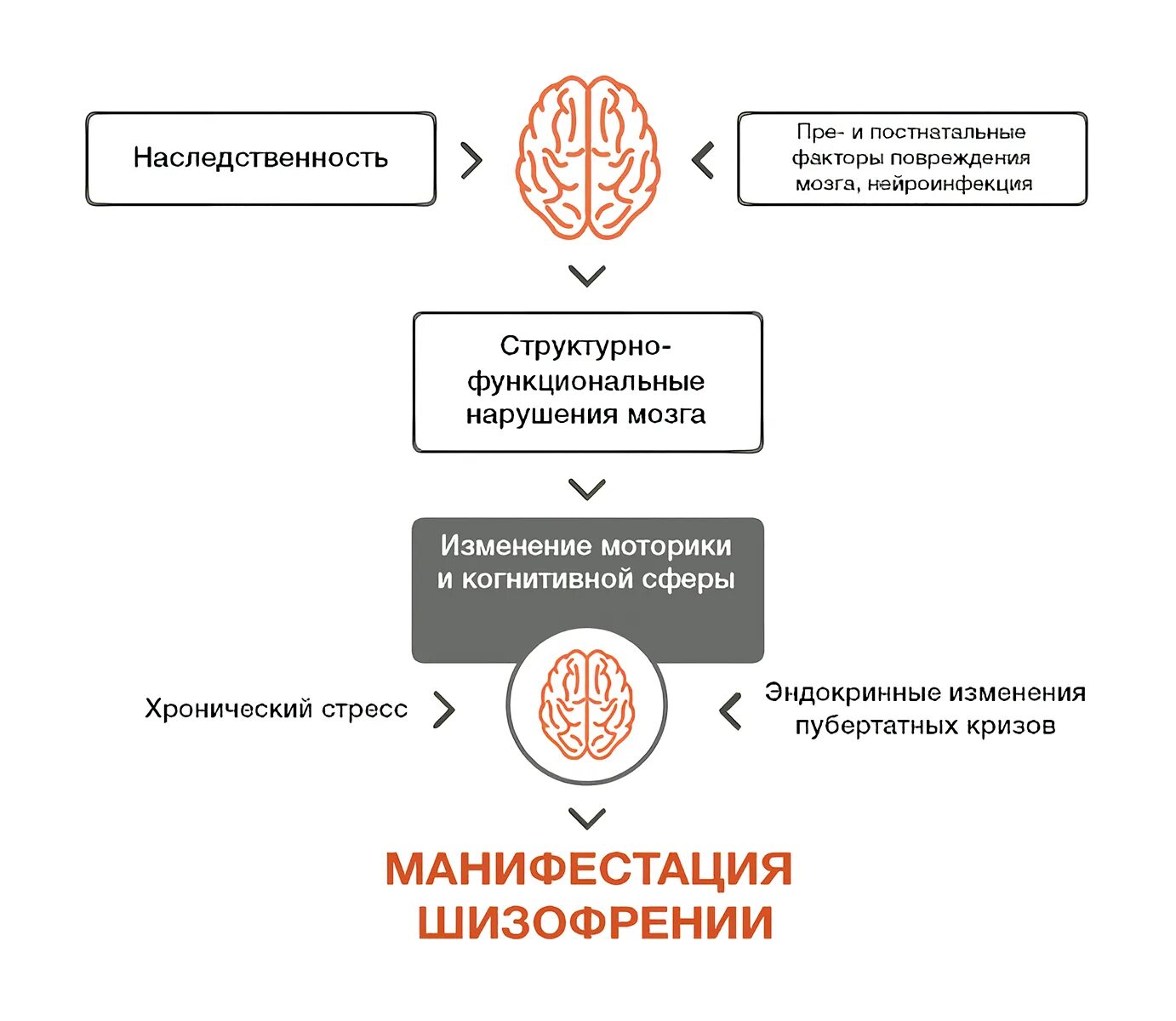 Схема наследования шизофрении. Схема передачи шизофрении по наследству. Шизофрения наследственность. Развитие шизофрении на схеме. Когнитивный шизофрения