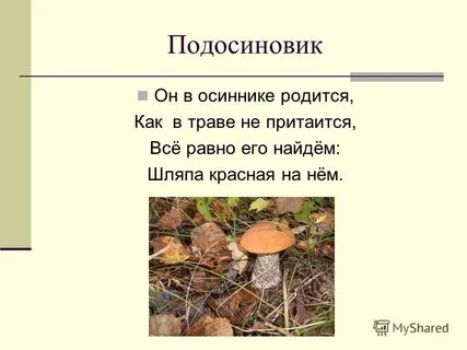 Что значат грибы
