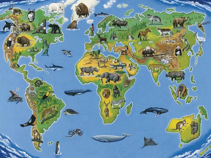 Animals world map By SmartStartStocker TheHungryJPEG