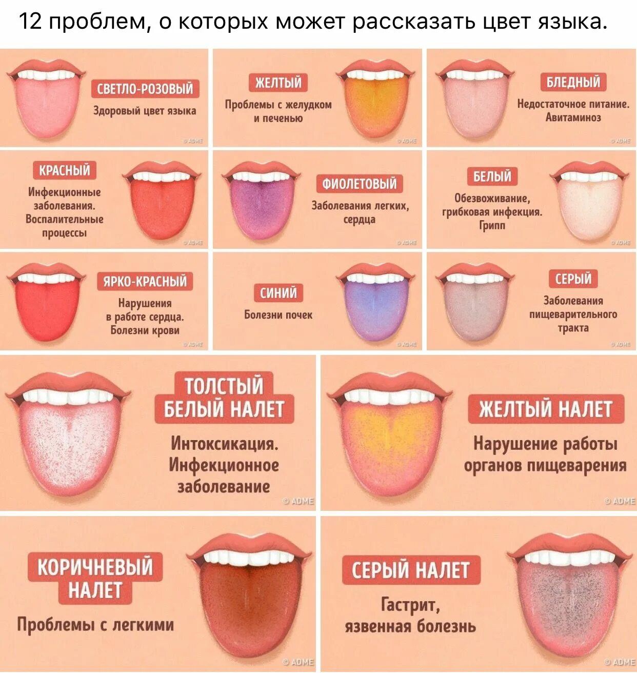 Языком Изображения: просматривайте стоковые фотографии, векторные изображения и 