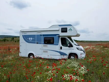 Gm 65