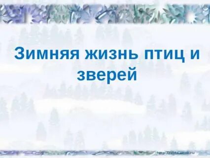 Жизнь птиц 2
