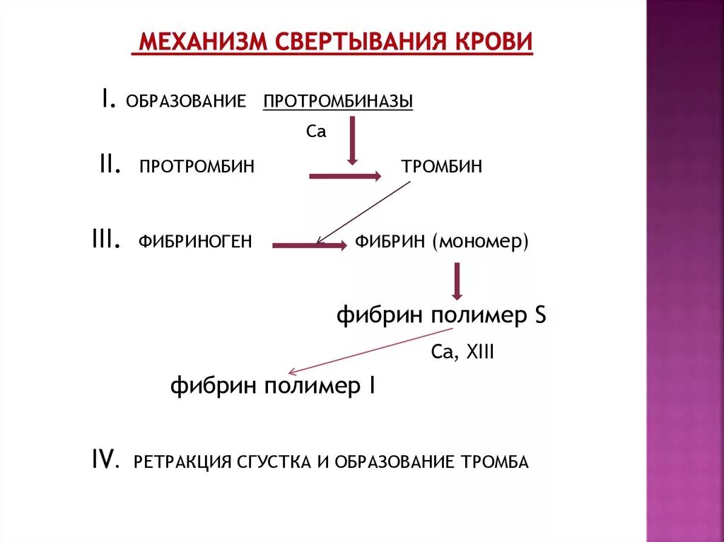 Механизм свертывающей системы крови. Механизм свертывания крови схема. Схема процесса свертываемости крови. Схема свёртывания крови 3 этапа. Факторы образования тромба