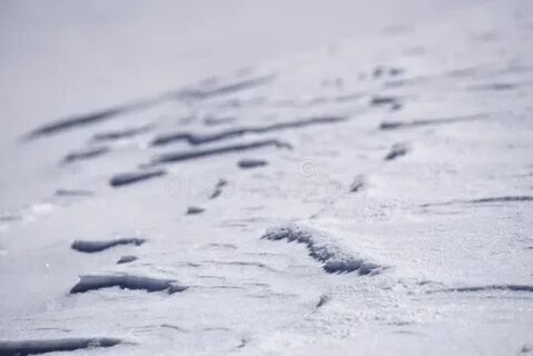 Ледяная корка на поверхности