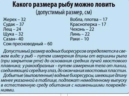 Размер хариуса разрешенного к вылову