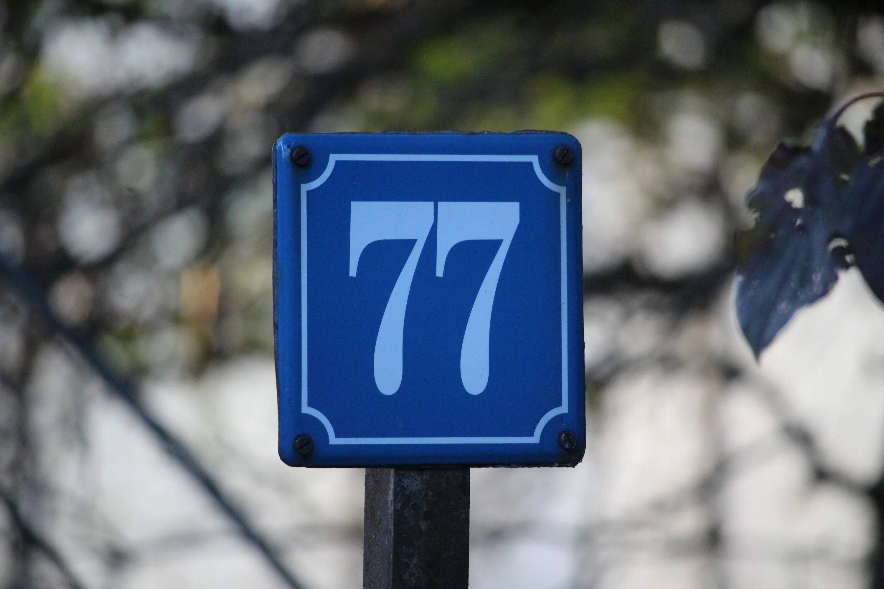 Номер 77 что значит. 77 значение числа в нумерологии. Номер 77 что значит. Мерседес амр 77. 77 значение числа.