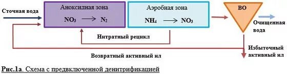 Денитрификация это. Нитрификация и денитрификация сточных вод схема. Денитрификация сточных вод схема. Нитрификатор денитрификатор схема очистки. Нитрификация в воде.