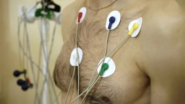 Holter Cardiac Image & Photo (Free Trial) Bigstock