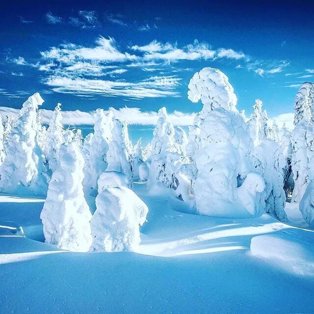 Снежное богатство. Коржонов Таганай. Таганай зимой фото.