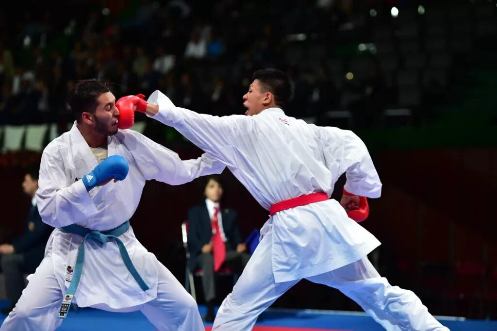 Каратэ wkf. Кумитэ ВКФ. Каратэ ВКФ кумитэ. Каратэ Шотокан кумитэ. Каратэ WKF кумитэ дети.