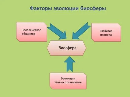 Факторы биосферы