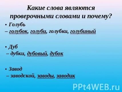 Проверочное слово к слову голубь