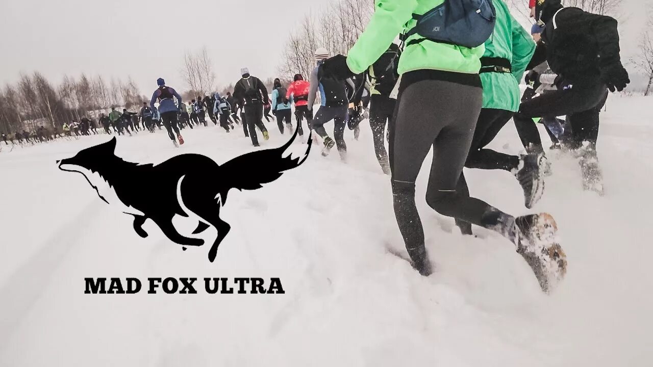 Mad Fox Ultra Valhalla Race. Mad Fox бег. Забег Вальгалла Мэд Фокс. Mad Fox Ultra 2022. Fox ultra