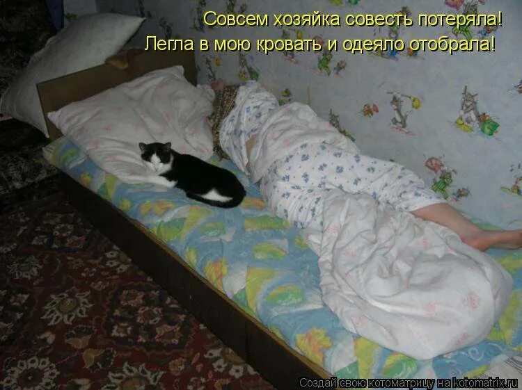 Писается ночью в кровать. Полежать в кроватке. Полежать на кровати. Котик занял всю кровать. Котик в кровати.