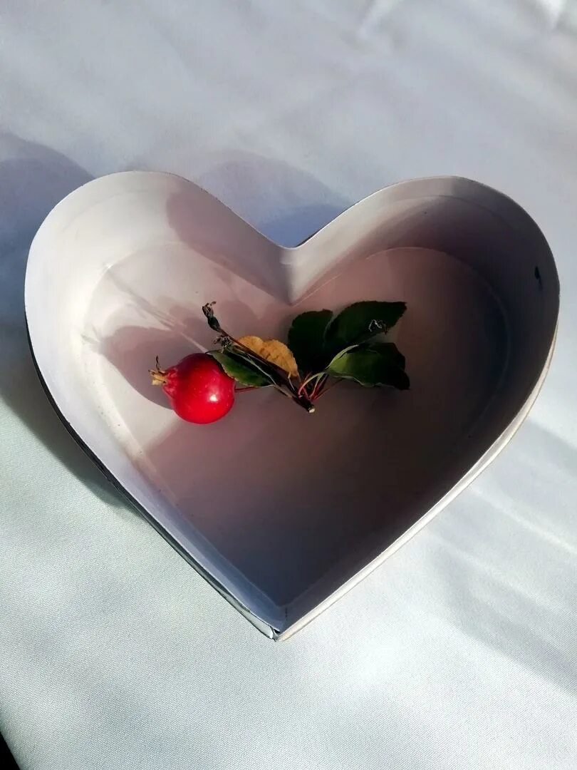 Яблоня любовь. Яблоко любви. Райское сердце. Люблю яблоки. Обожаю яблоки.