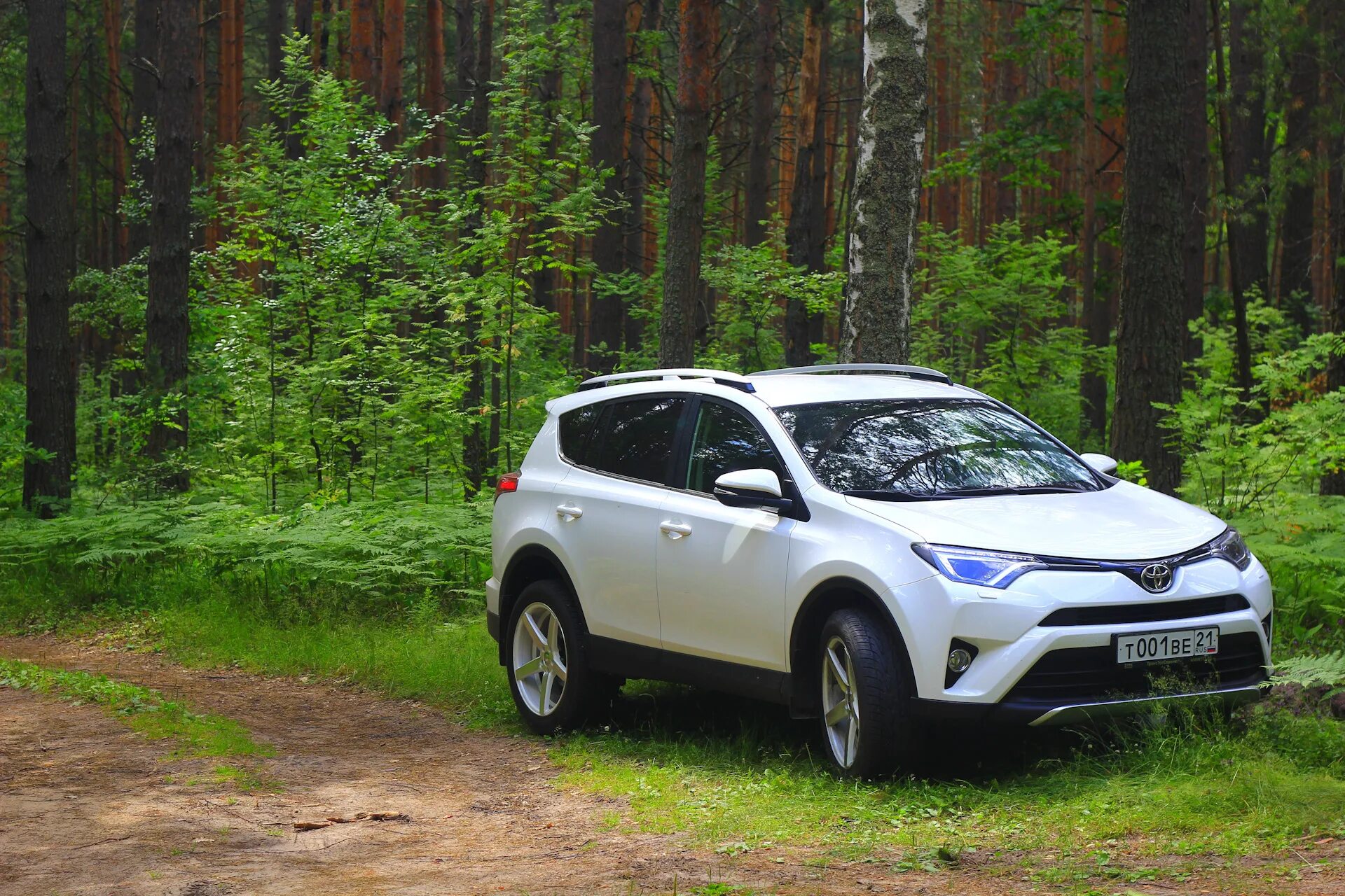 Toyota rav4 200. Toyota rav4 5. Тойота рав 4 2018 белый. Тойота рав 4 21 года. Тойота рав новосибирск