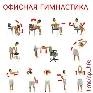 Лучшие упражнения для работы