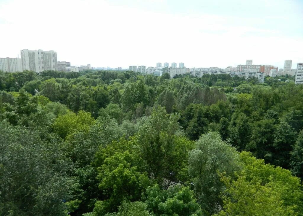 Олонецкий проезд 2. Олонецкий проезд, 12. олонецкий проезд 10. олонецкий проезд 20. ул олонецкая д 4.