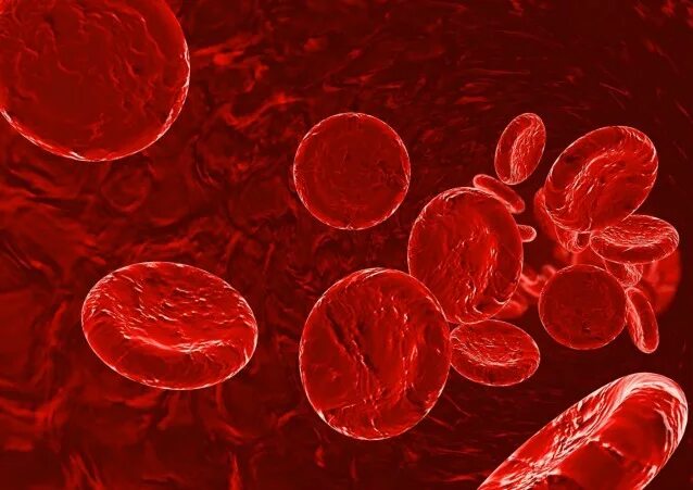 Гемофилия эритроциты. Эритроциты при гемофилии. красные тельца.