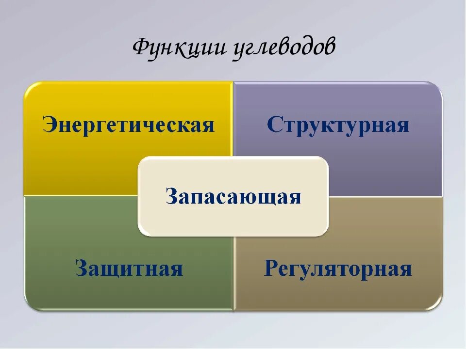 Укажи функции углеводов. Функции углеводов. Функции углеводов в организме человека. Регуляторная функция углеводов. Биологическая роль углеводов.