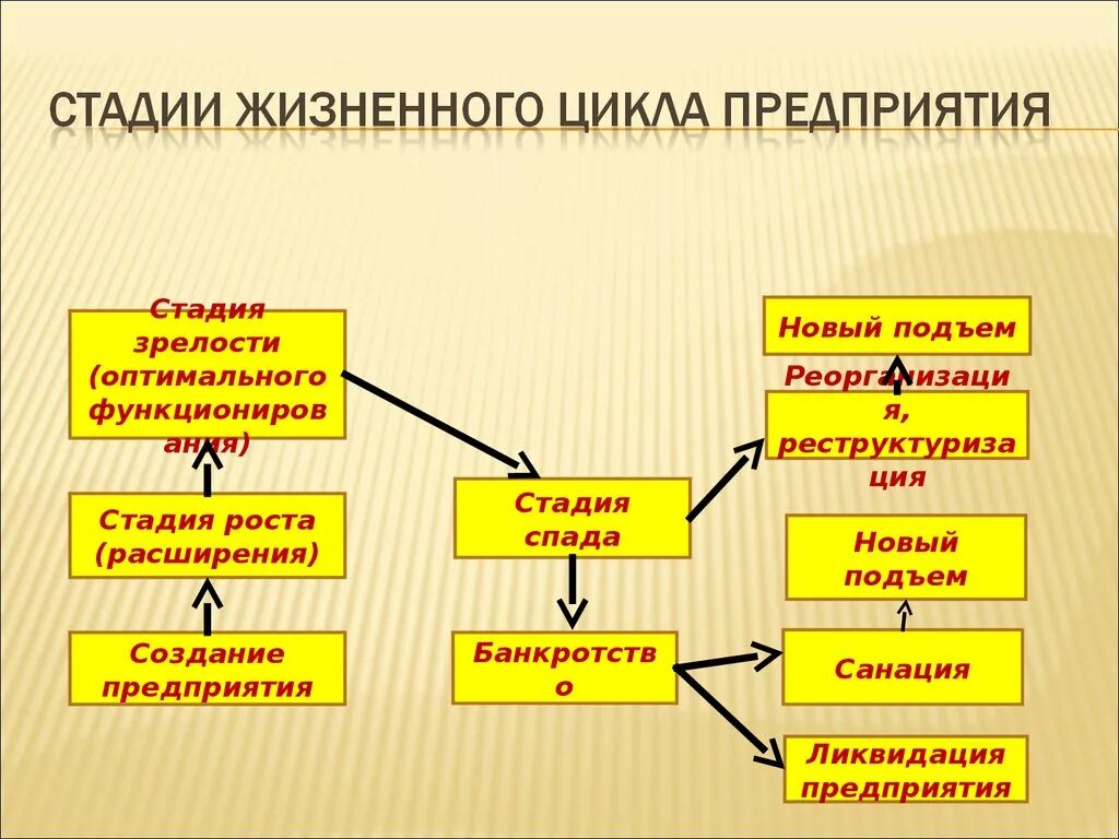 Жизненный цикл экономика. Жизненный цикл предприятия схема. Стадия роста предприятия. Стадия формирования организации. Стадии формирования предприятия.