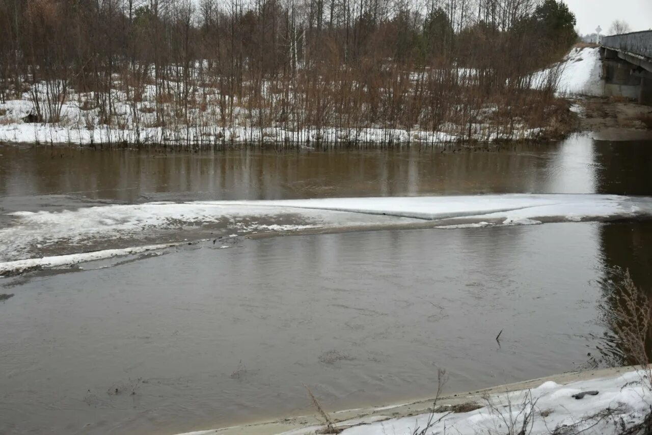 Уровень суры алатырь. Паводок Алатырь. Река Алатырь. Половодье в Алатыре 2023. Река д.