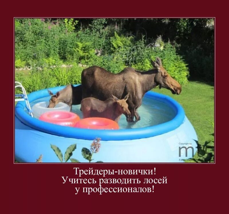 жарко в воде текст