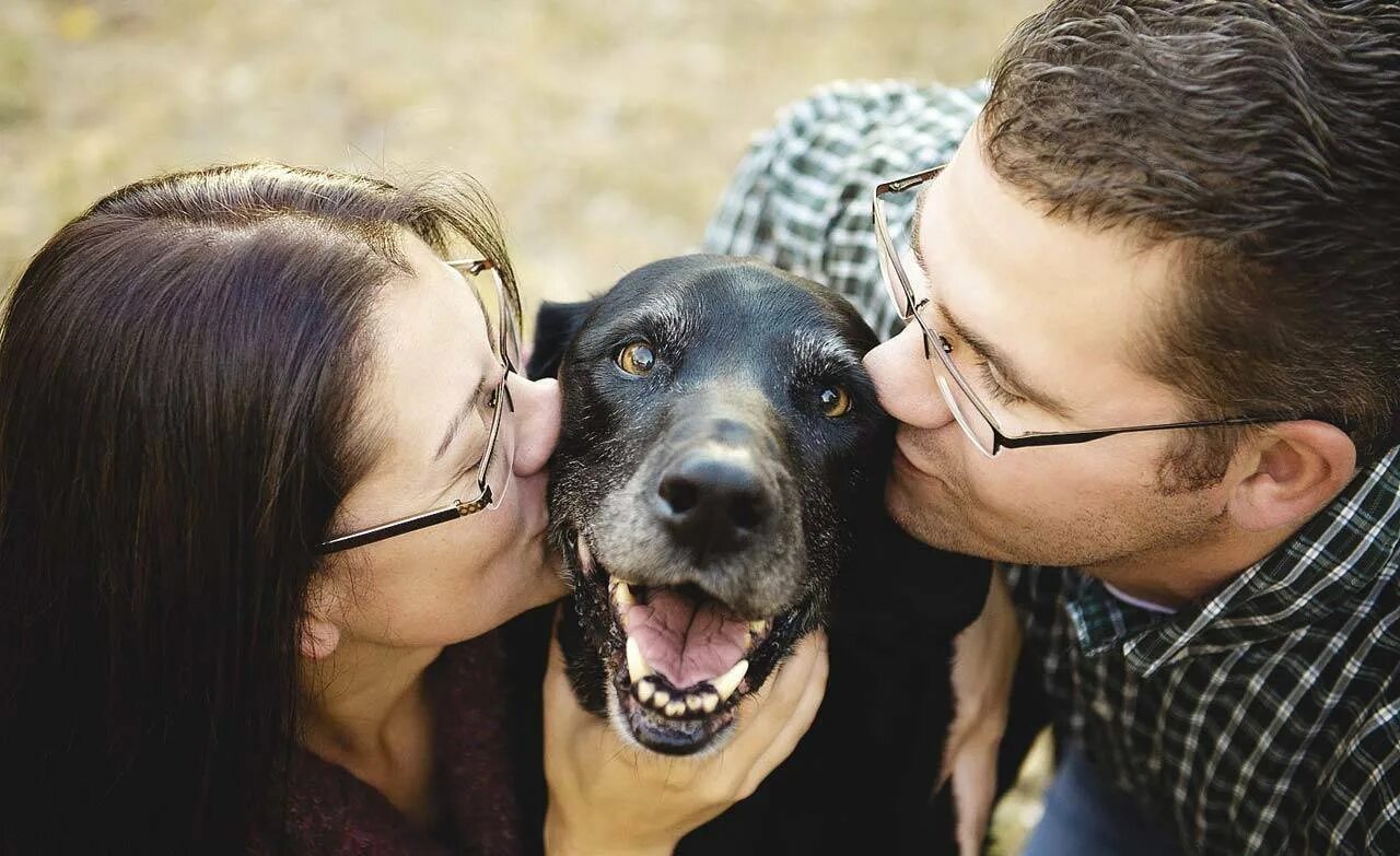 Photo pet. Люди и животные. Хозяин собаки. Любовь к животным. Человек с собакой.