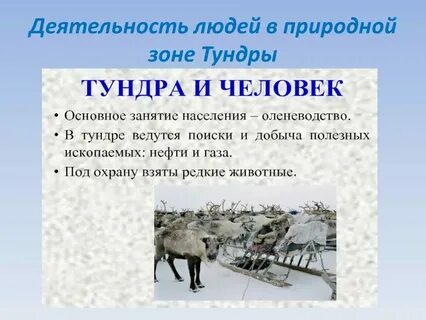 Тундра хозяйственная деятельность человека