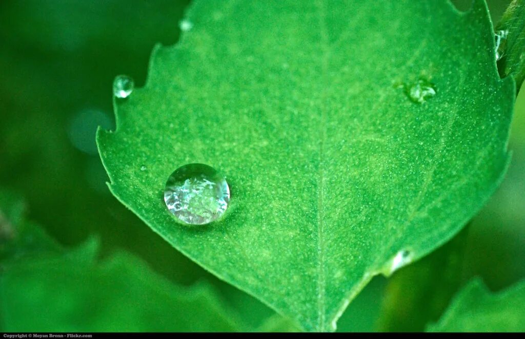 Connected to nature. A lot of worries