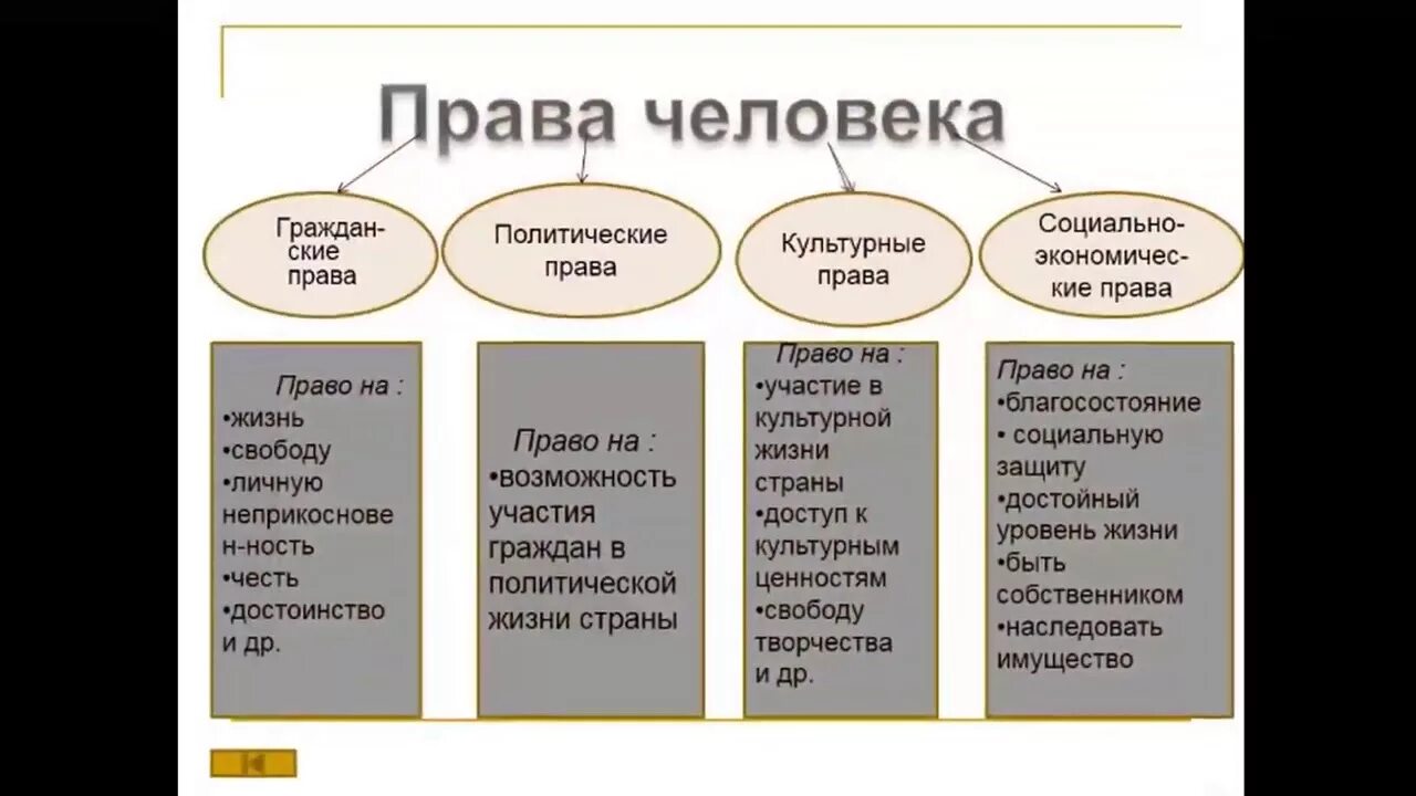 Название группы прав. Виды прав и свобод человека. Виды человеческих прав. Какие виды прав человека.