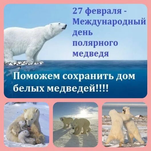 Конспект день полярного медведя. Конспект день полярного медведя. День полярного медведя. Международный день полярного (белого) медведя. День белого полярного медведя (international polar bear day).
