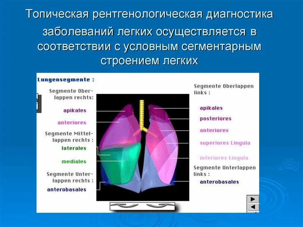 Диагноз легкое расстройство. Диагностика заболеваний легких. Методы диагностики заболеваний легких. Методы диагностики легочных заболеваний. Топическая диагностика.