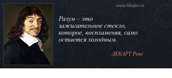 сосна фастигиата. ель сербская (сорт 'roter austrieb'). ели рене. ель сербская оморика пендула. ели рене.