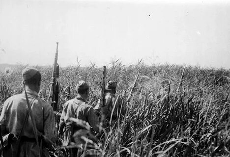 Июнь 1943