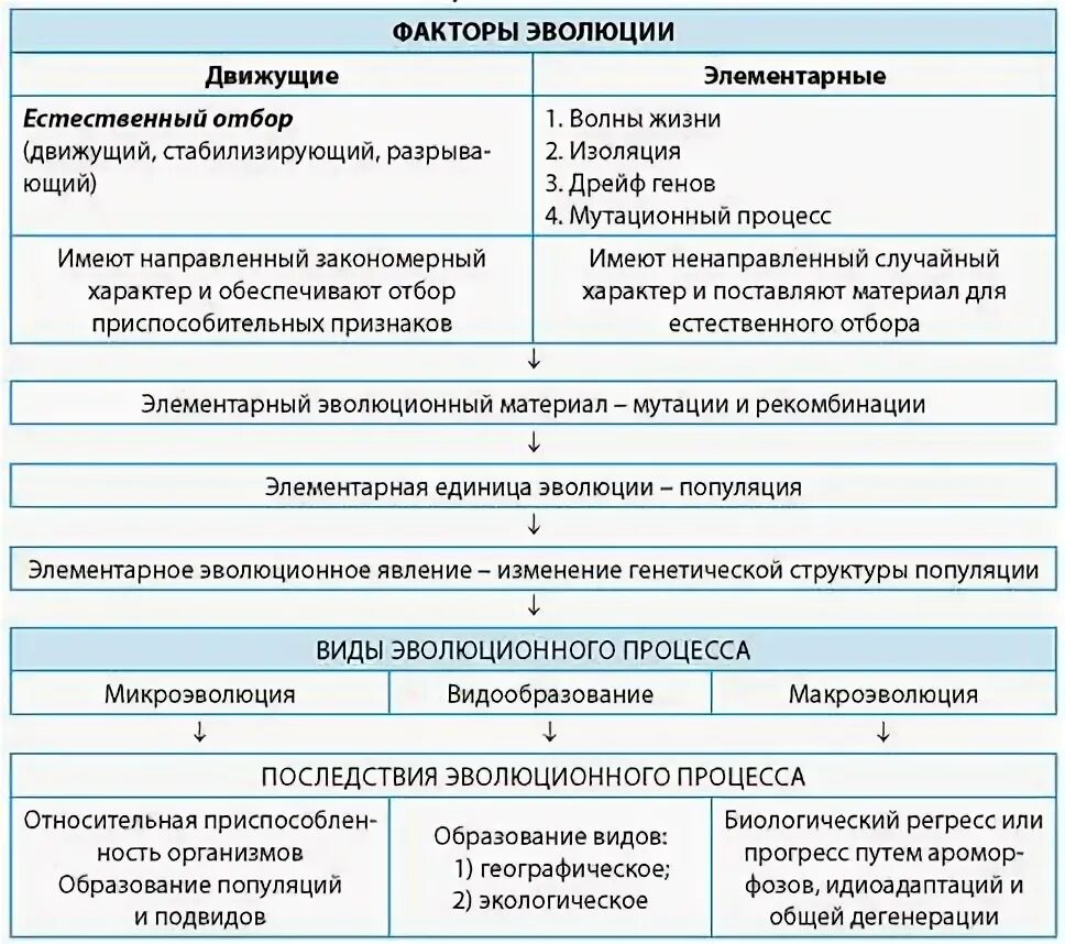 Схема многообразие элементарных эволюционных факторов. Таблица по биологии 9 класс элементарные эволюционные факторы. Элементарные эволюционные факторы 9 класс таблица. Схема элементарные факторы эволюции. Элементарные эволюционные факторы таблица с примерами.