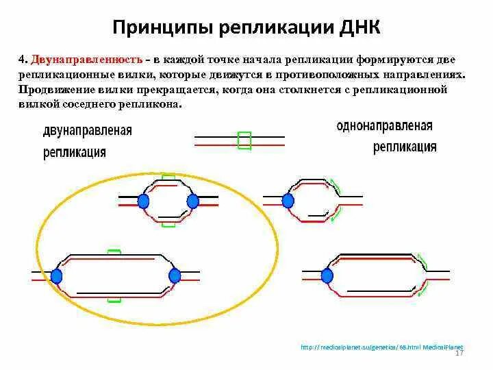 Проверка репликации. Проверка репликации