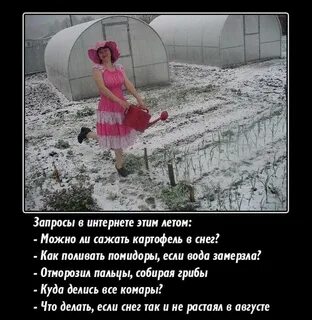 Ничего садить не буду