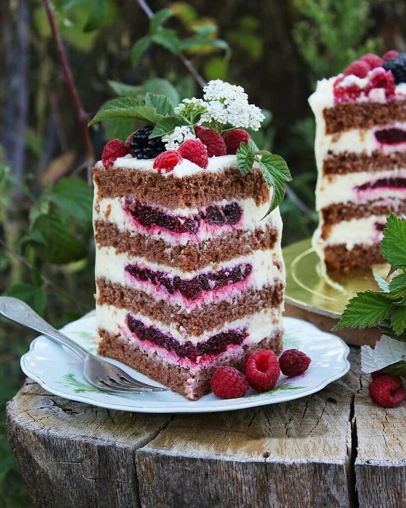 бисквитно малиновый торт. бисквитный торт с малиновым конфи. торт с малиной. бисквитный торт с малиной. бисквит с малиной.