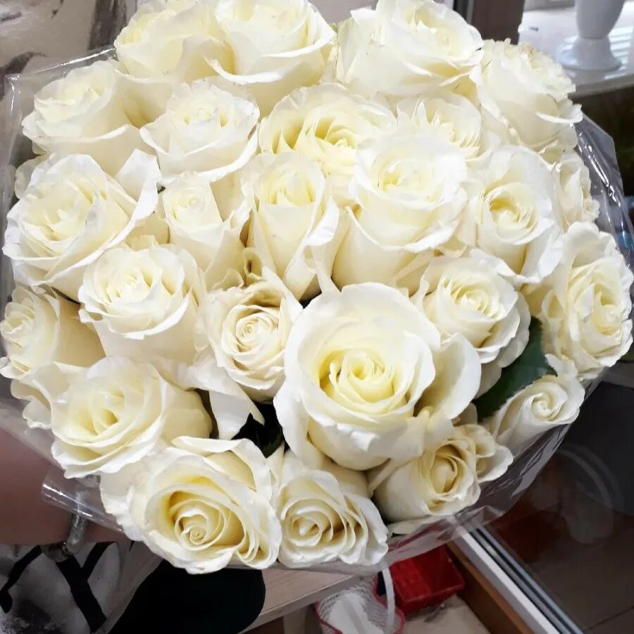 Белые розы смысл. Белые розы. Букет белых роз домашнее. 17 Белых роз. Букет белых роз на белой машине.