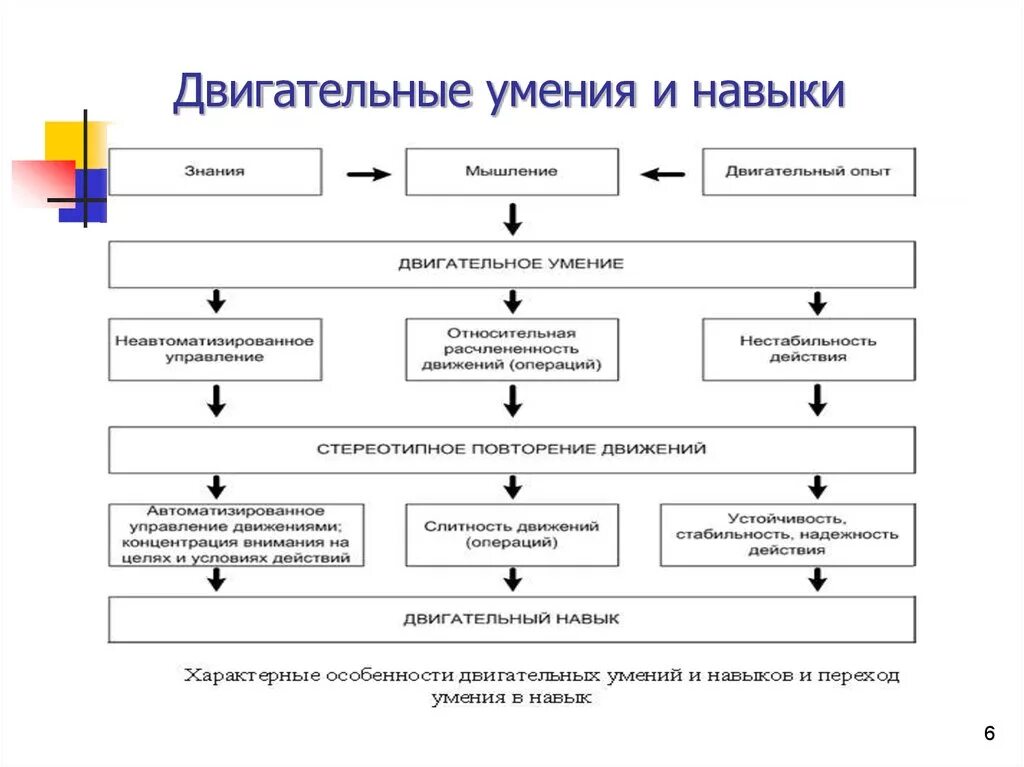 Движение развитие внутренняя. Двигательное умение и двигательный навык. Типы двигательных навыков. Двигательные умения и навыки. Двигательные умения и навыки примеры.