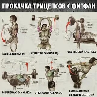 Упражнения на бицепс и спину в зале