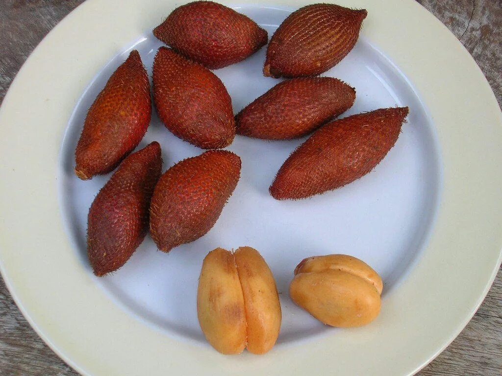 Косточки экзотических фруктов. Салак фрукт из Тайланда. Коричневый фрукт Тайланд. Экзотические орехи.