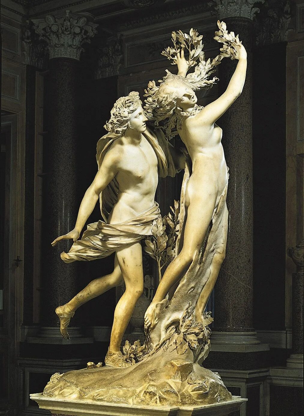 Apollo e