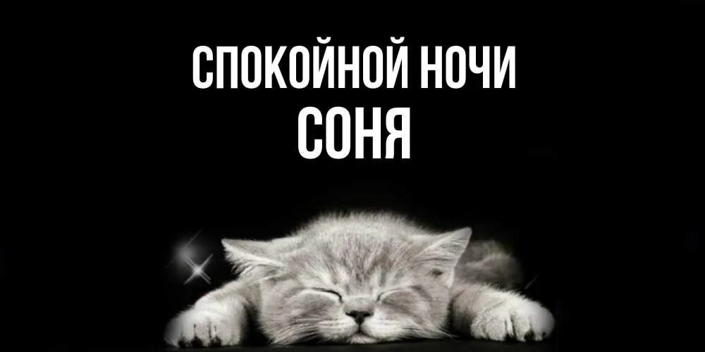 Как будет спокойной ночи на армянском. Спокойной ночи маша. спокойной ночкирустам. спокойной ночи машуля.