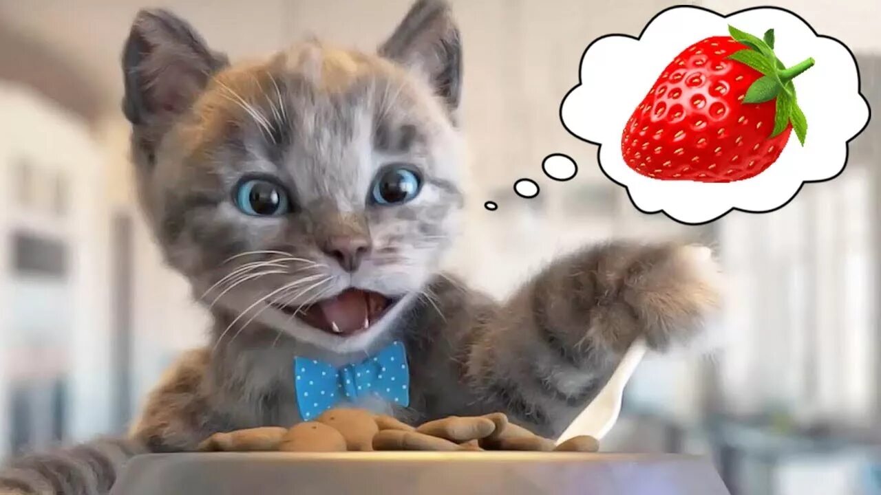 My little kitten. Игра little kitten my favorite cat. маленький котенок на ютубе. little kitten preschool.