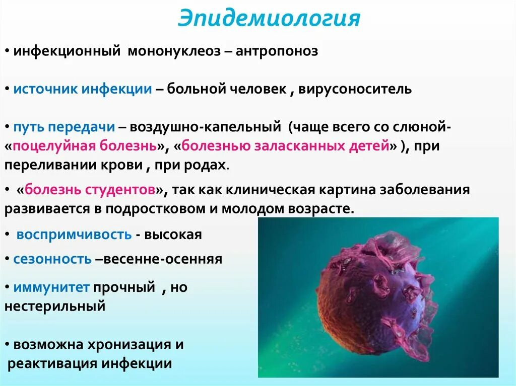 Перенесли мононуклеоз. Инфекционный мононуклеоз. Инфекционный мононуклеоз источник инфекции. Инфекционный мононуклеоз эпидемиология. Инфекционный мононуклеоз клинические симптомы.