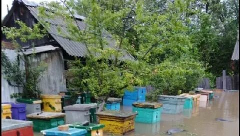 Рп5 пожарское приморский