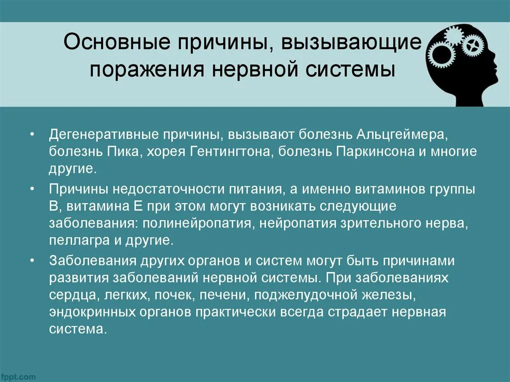 Причины вызывающие поражения нервной системы. Основные причины вызывающие поражения нервной системы. Профилактика заболеваний нервной системы. Заболевания нервной системы и их профилактика.